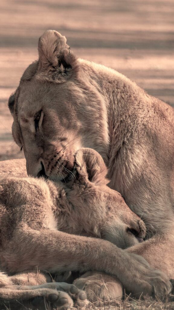 When your child doesn’t need you the same way anymore